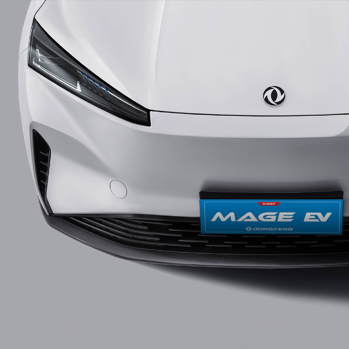 MAGE EV
