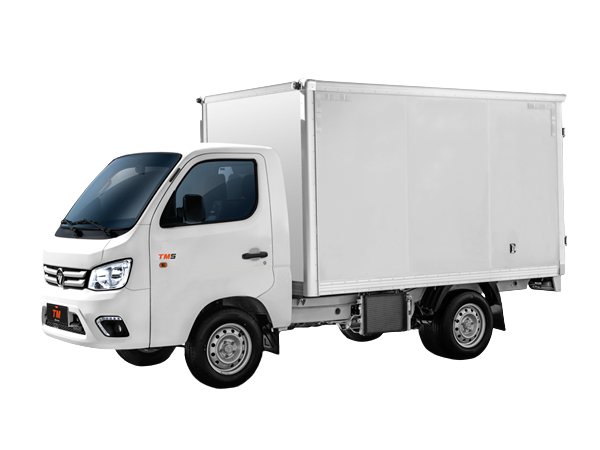 Mas Cargo Box